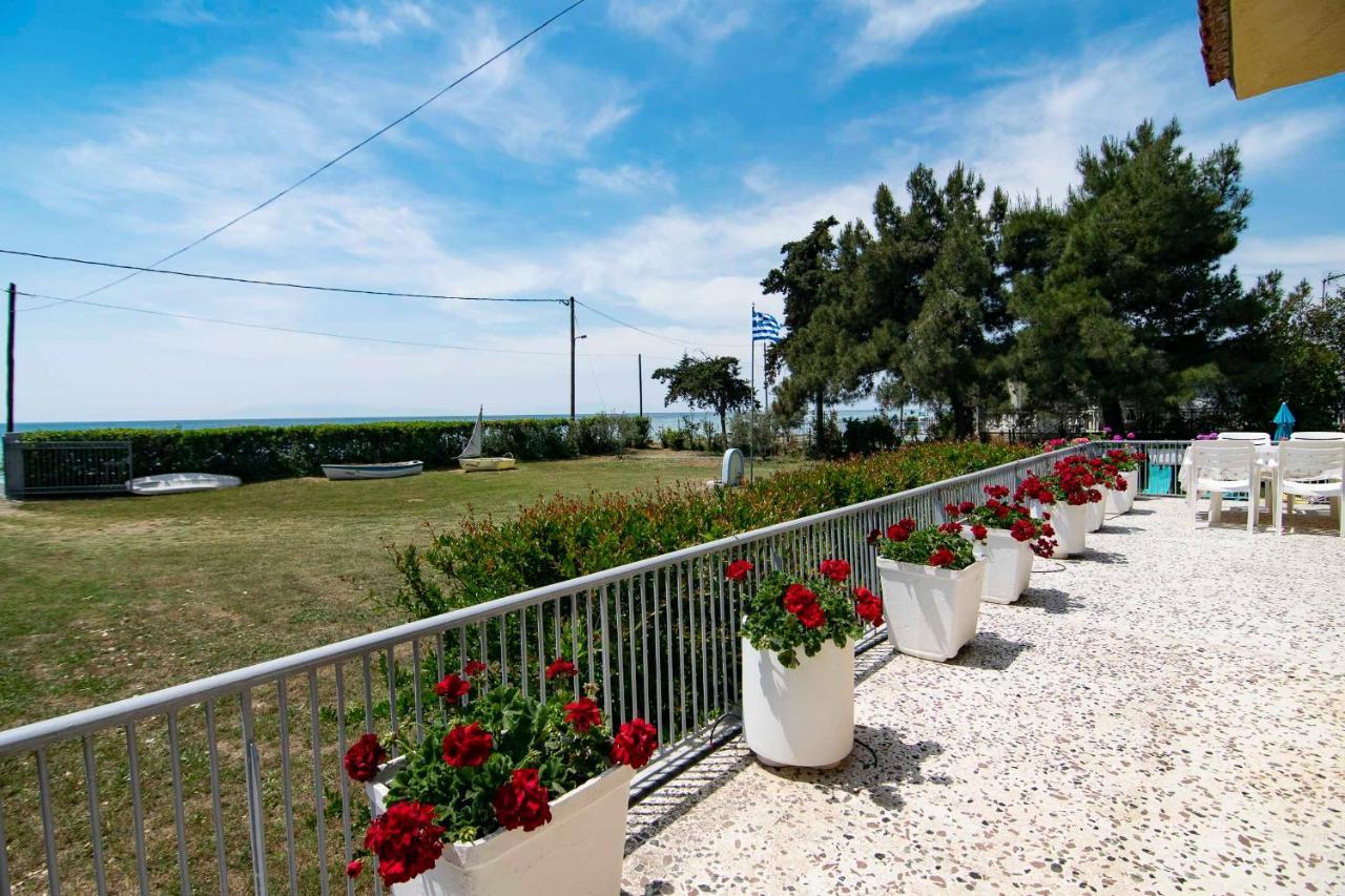 Clio Beach House By Travel Pro Services - Metochi Halkidiki 소조폴리 외부 사진