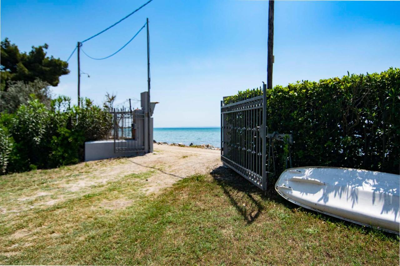 Clio Beach House By Travel Pro Services - Metochi Halkidiki 소조폴리 외부 사진