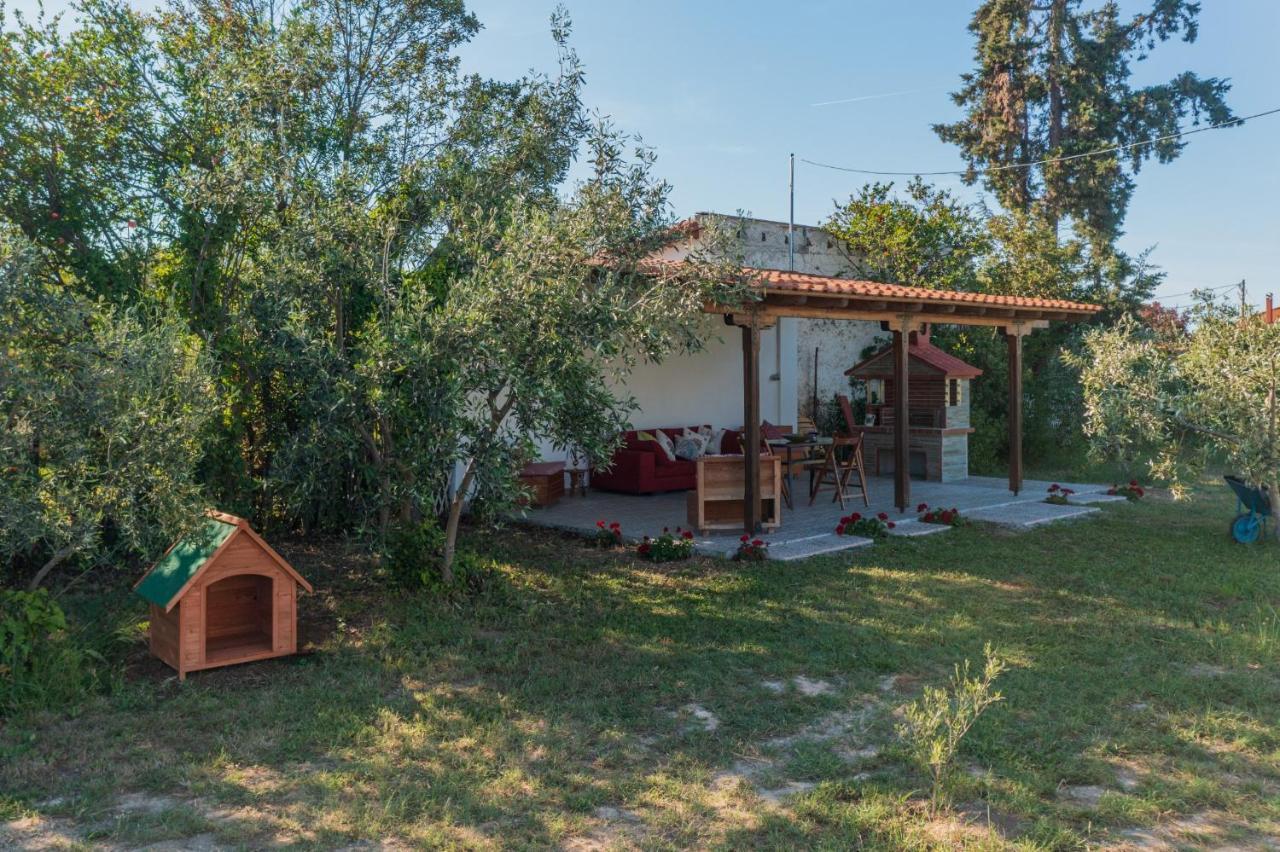 Clio Beach House By Travel Pro Services - Metochi Halkidiki 소조폴리 외부 사진
